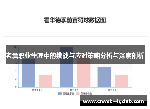 老詹职业生涯中的挑战与应对策略分析与深度剖析